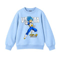 JUNIOR - VEGETA SWEATSHIRT DP012