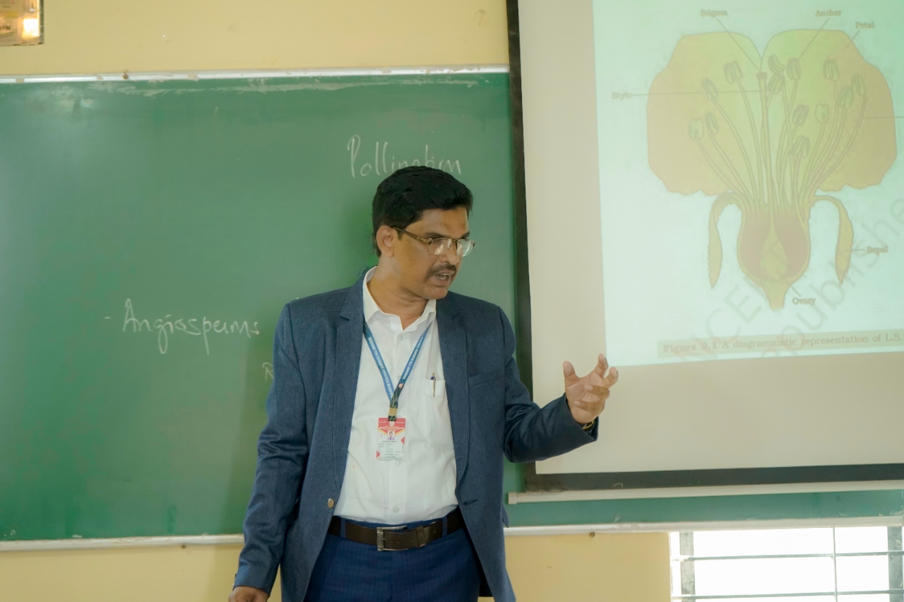 Experienced Faculty